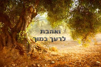 הרצאה דיגיטלית לצפייה באתר - אהבת ה', אהבת אישה, אהבת החבר - בסוד הדברים