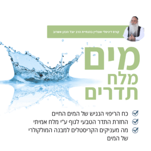 סדנת מים, מלח, תדרים  - כ 30 שעות לימוד מרתק עדכני ומחדש
